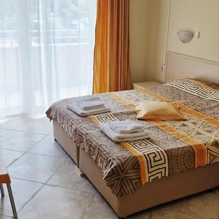 Kamelia A29 *